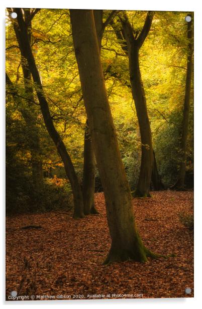 Stunning Autumn Fall colorful vibrant woodland landscape Acrylic by Matthew Gibson