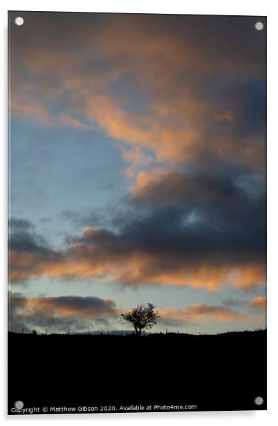 Beautiful Autumn Fall landscape vibrant countryside image of lone tree and stone wall at dawn Acrylic by Matthew Gibson