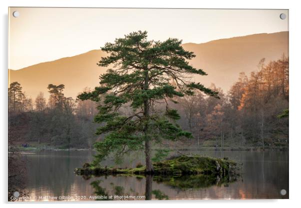 Beautiful landscape image of Tarn Hows in Lake District during beautiful Autumn Fall evening sunset with vibrant colours and still waters Acrylic by Matthew Gibson