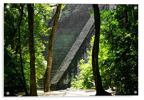 Tikal Temple Acrylic by Neil Gavin