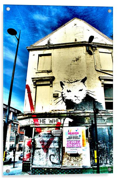 Liverpool Banksy Acrylic by Neil Gavin