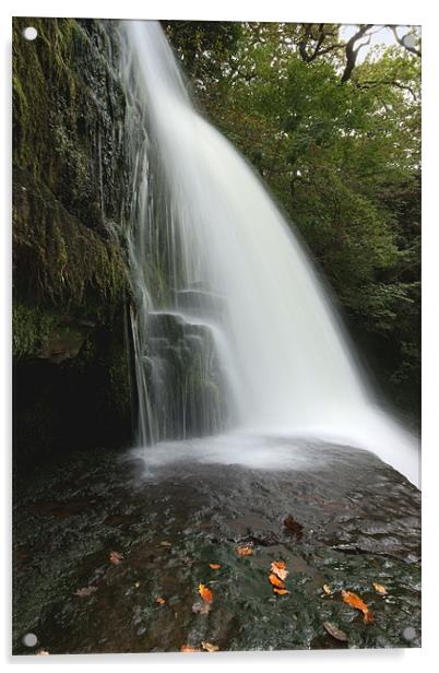 Sgwd Clun Gwyn - Waterfall of the White Meadow Acrylic by David (Dai) Meacham