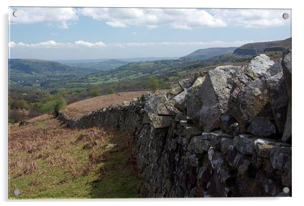 Dry stone wall on the moors Acrylic by David (Dai) Meacham