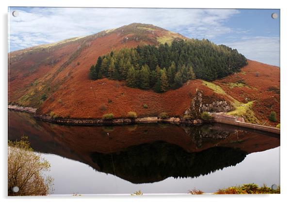 LLyn Clywedog Acrylic by David (Dai) Meacham