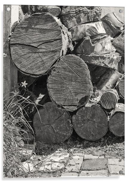 Log Pile Acrylic by Graham Lester George