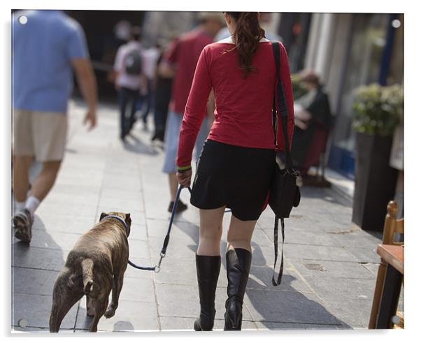 Attractive woman walking her dog, Brussells Acrylic by Graham Lester George