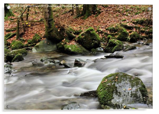 Stock Ghyll, Ambleside Acrylic by Catherine Fowler