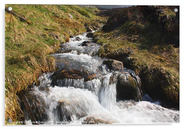 Cairngorm Mountain Stream Acrylic by Catherine Fowler