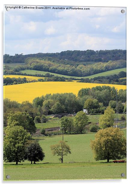 View across the Chilterns Acrylic by Catherine Fowler