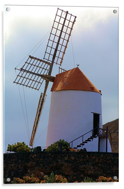 Windmill at Guatiza Acrylic by Catherine Fowler
