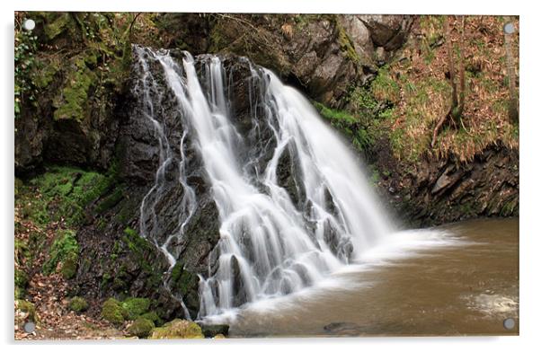 Lower Fairy Glen Waterfall #2 Acrylic by Catherine Fowler
