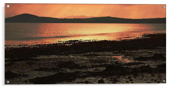 Sunset over the Moray Firth Acrylic by Catherine Fowler