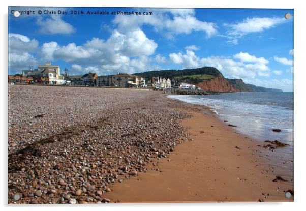 Sidmouth Beach Acrylic by Chris Day