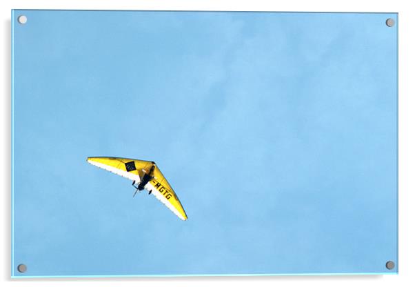 Micro Lite Acrylic by Chris Day