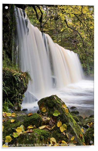 Sgwd Ddwli Waterfall in Autumn. Acrylic by Philip Veale