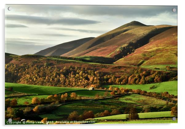 Autumn's Golden Touch on Skiddaw Acrylic by Philip Veale