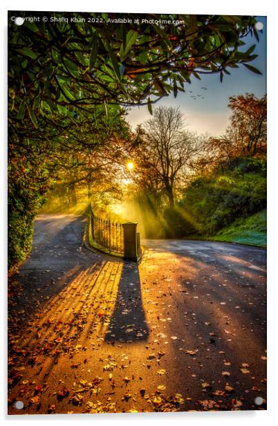 Morning Sunrays in Autumn Acrylic by Shafiq Khan