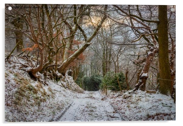 Winter Wonderland in Feniscowles, Blackburn, Lancashire Acrylic by Shafiq Khan