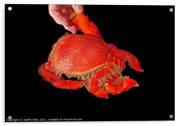 Seafood serving of cooked Spanner or Red Frog Crab. Acrylic by Geoff Childs