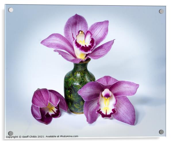  Pretty pink Cymbidium Orchid in a Vase on White Acrylic by Geoff Childs