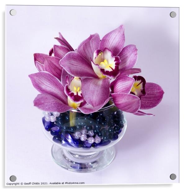  Pretty pink Cymbidium Orchid in a Vase on White Acrylic by Geoff Childs