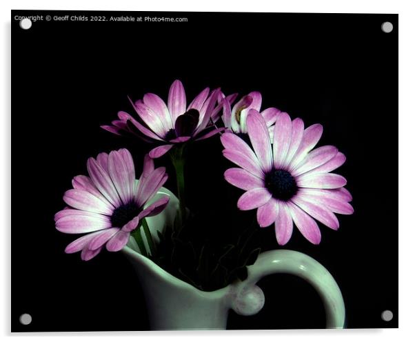 Pink and white African Daisy flower in a vase isol Acrylic by Geoff Childs