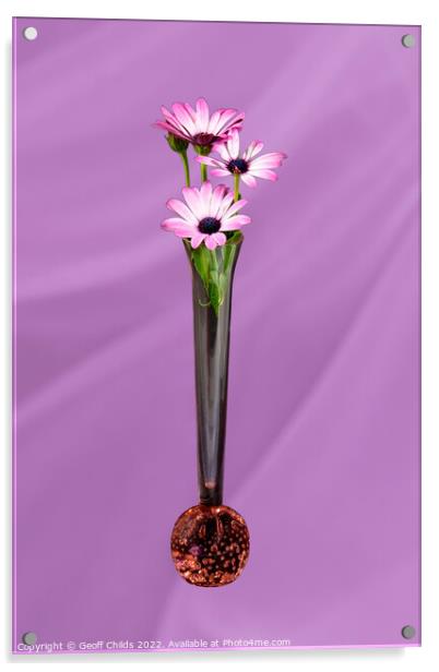 African Daisy flower in a vase isolated on pink. Acrylic by Geoff Childs