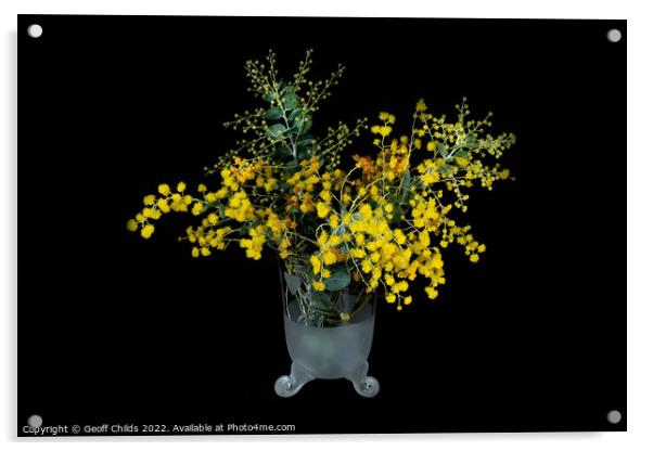Wattle blossoms in a white and clear glass vase on black. Wattle Acrylic by Geoff Childs
