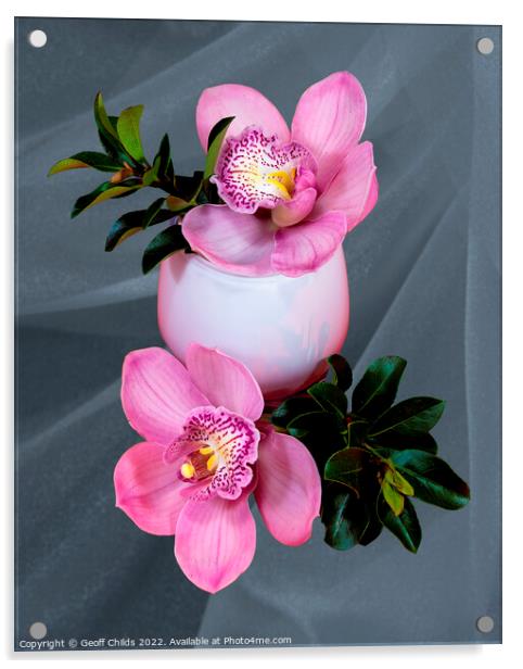 Close up image of Pink cymbidium Orchid flowers in a white glass vase isolated on gray coloured background.  Acrylic by Geoff Childs