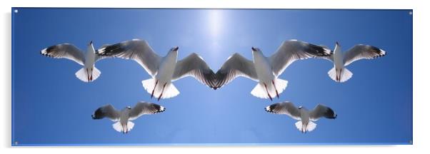 Seagulls Flying Overhead in Blue Sky. Acrylic by Geoff Childs