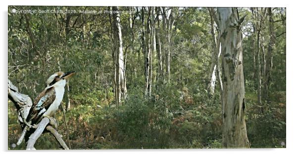 Kookaburra Amongst the Gum Trees.  Acrylic by Geoff Childs