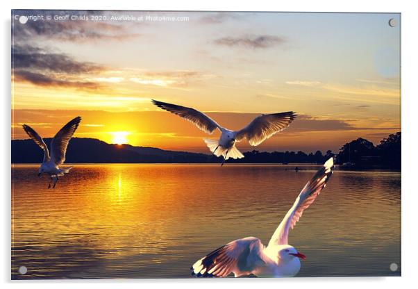 Seagulls in a golden sunrise waterscape. Acrylic by Geoff Childs