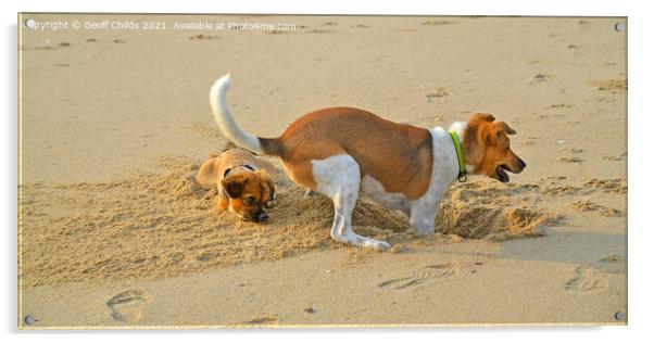 Atractive dogs playing on sandy beach. Acrylic by Geoff Childs