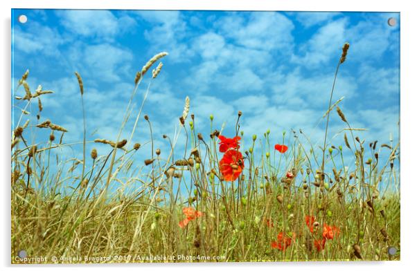 Poppies field Acrylic by Angela Bragato