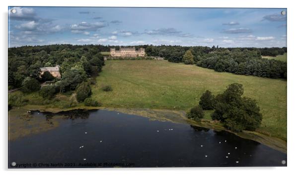 Harewood House, one of the Treasure Houses of England. Acrylic by Chris North
