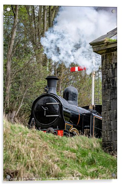 Steam Locomotive No 85 Acrylic by Chris North