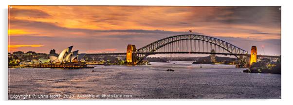 Sidney Harbour Opera House and bridge. Acrylic by Chris North