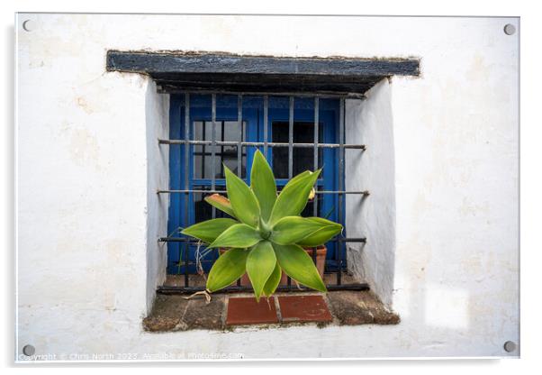 Castella Del Frontera window. Acrylic by Chris North