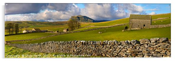 Pen-y-ghent in the Yorkshire Dales. Acrylic by Chris North