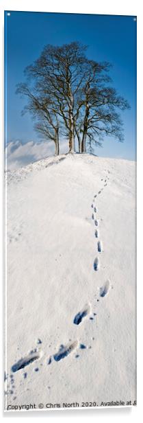 Footsteps to snowy trees at Stoirths. Acrylic by Chris North