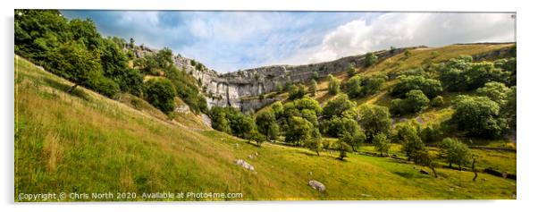 Malham Cove in Yorkshire. Acrylic by Chris North