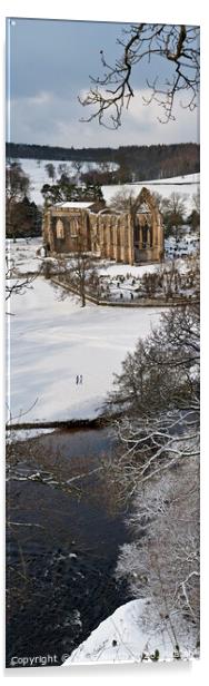 Bolton Abbey winter walk Acrylic by Chris North