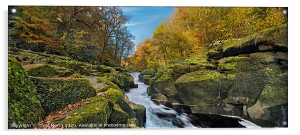 The Strid in autumn, Bolton Abbey estate. Acrylic by Chris North