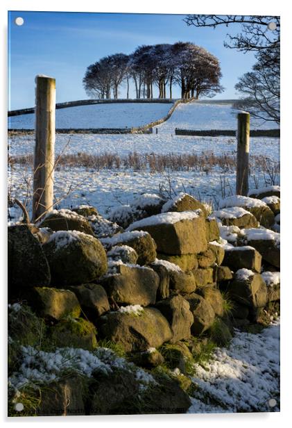 Winter on the Chevin, Otley West Yorkshire. Acrylic by Chris North