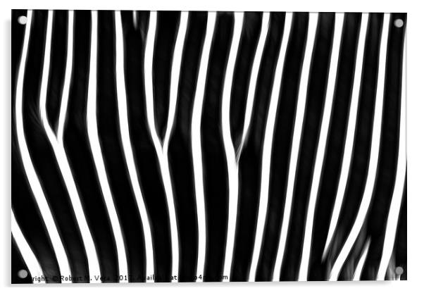 Grevy's Zebra  Acrylic by Robert M. Vera