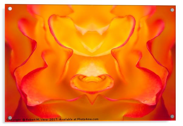 Orange and Yellow Rose Composite Acrylic by Robert M. Vera
