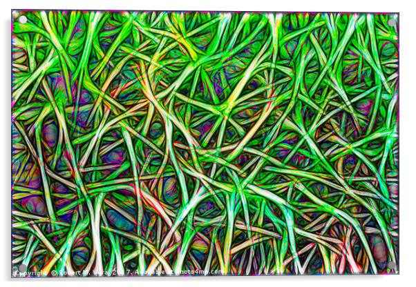 Abstract Image of Grass Acrylic by Robert M. Vera