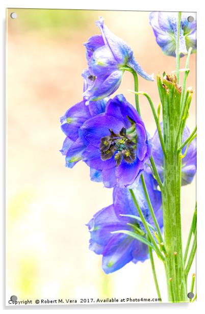 Blue Delphinium in the Spring - Larkspur Acrylic by Robert M. Vera