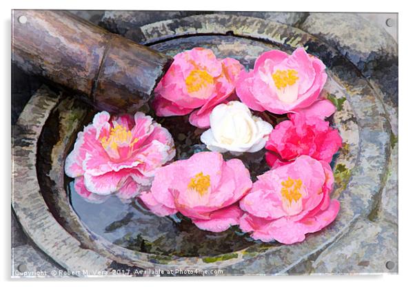 Camellia flowers in Japanese fountain Acrylic by Robert M. Vera