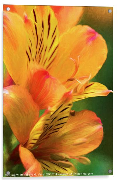 Alstroemeria - Peruvian Lily, Lily of the Incas Acrylic by Robert M. Vera